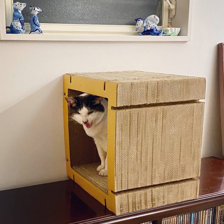 5b529a4c 5097 498b b996 fee599ca0cd3 1593612966860