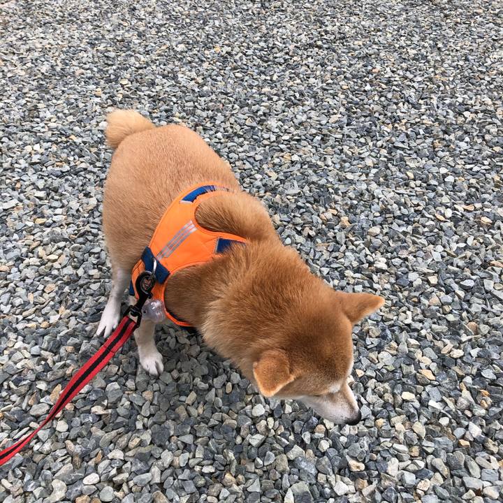 5b52e422 6e51 4868 a4f5 0d9763c971c7 1578535320810