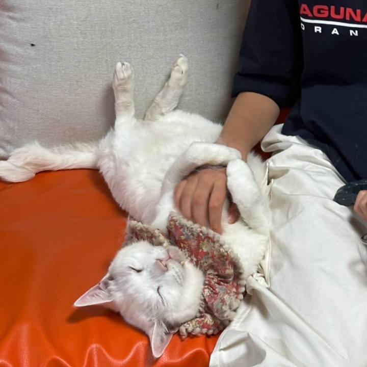 5b534750 8ed5 4fad 86fb 751dcc681197 1742120167858