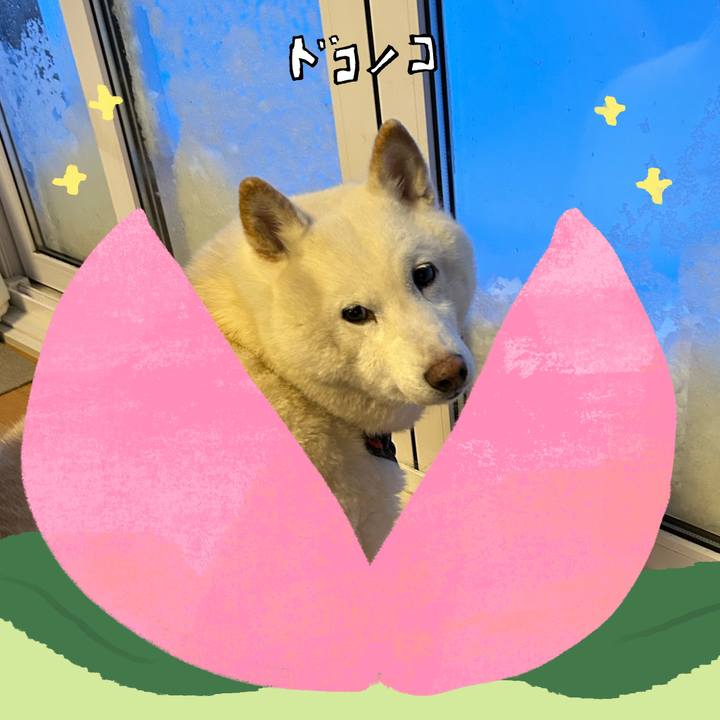 5b537979 ca33 4251 b26e f59c2d95115b 1771820067100