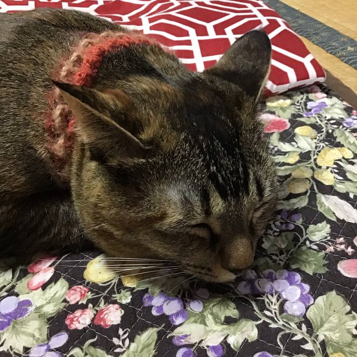 5b537e51 209f 4fa4 9dce 354ec5437bf8 1636449142056