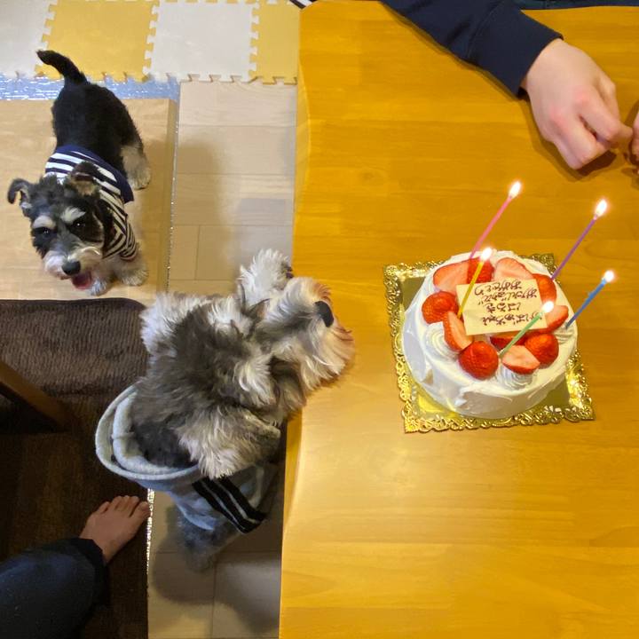 5b539c57 4426 4c8b 87d7 f8e3dda4971c 1580227781902