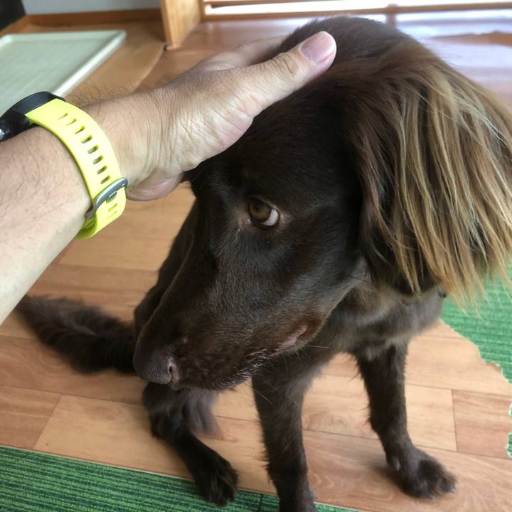 5b53c414 93a9 4a8a b42d abe673a1b28a 1591317425352