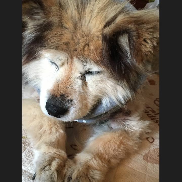 5b53ed73 6dad 4637 9a9a 39ef5197bf63 1556254028102