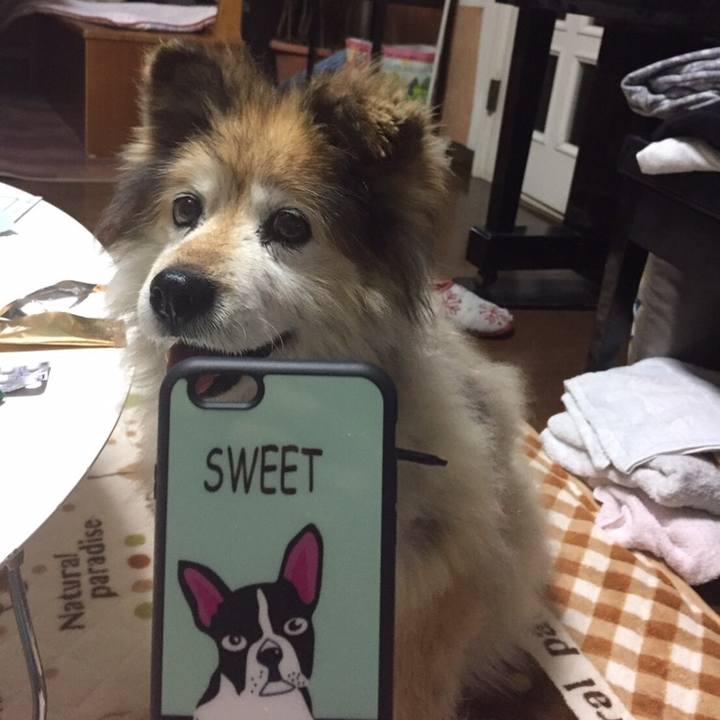 5b53fef6 f701 44c6 8504 e89f99925e0c 1555052978878