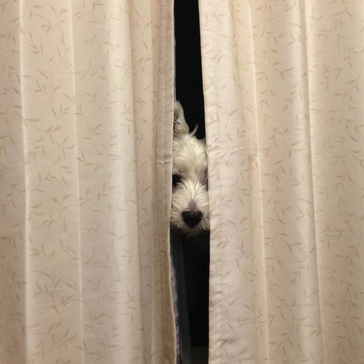 5b540386 2563 4601 9f18 133b6d6f1b40 1522418305089