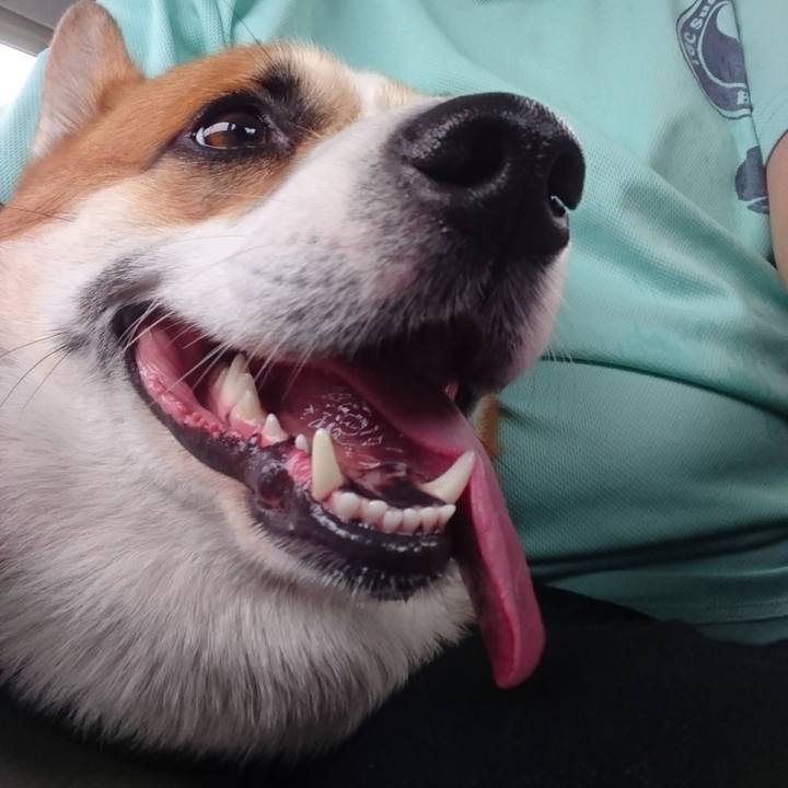 5b542991 5063 4503 9e02 d0cb91c177a4 1625620875694