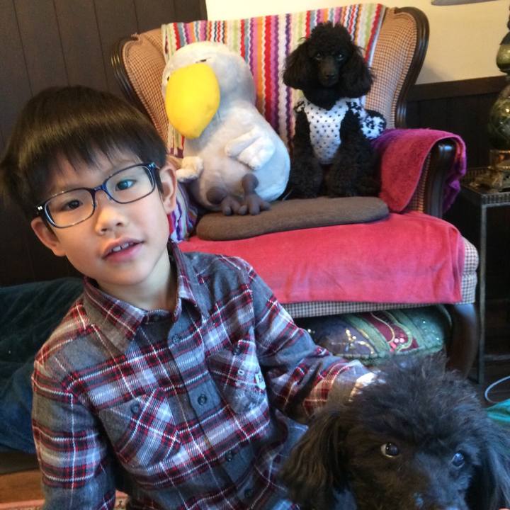 5b546f50 4ea8 4604 87c9 db0bc23074f5 1546499654181