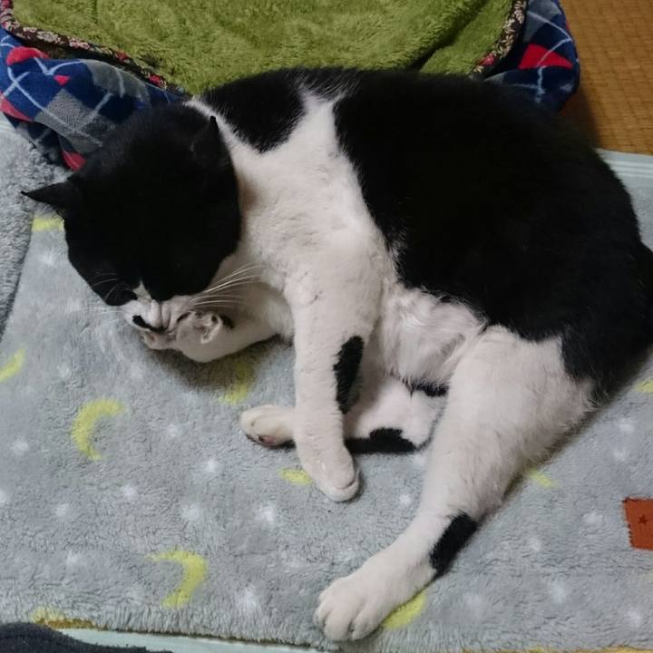 5b54a5fb b428 41a6 9678 13da7f67165d 1509796710981