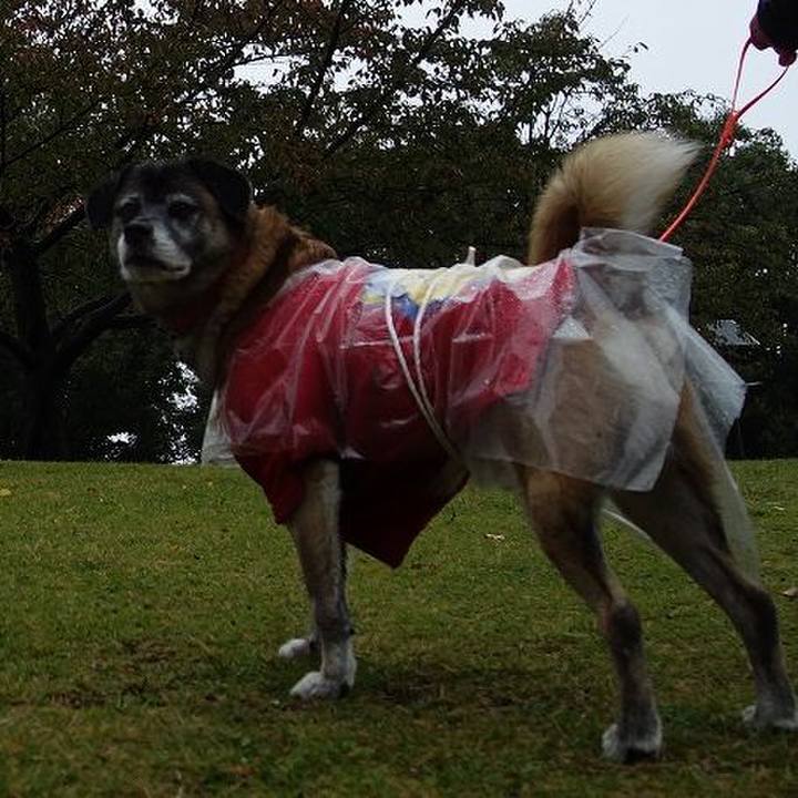 5b5520ad 6f7e 4abb bd47 b6c6d5112fcd 1509241551452