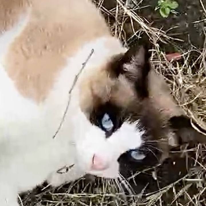 5b5531b3 3209 4429 a96a 1f157bdfcb54 1742958529460