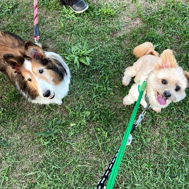 5b553863 bc87 4896 85b2 f61927b9541f 1757818353901