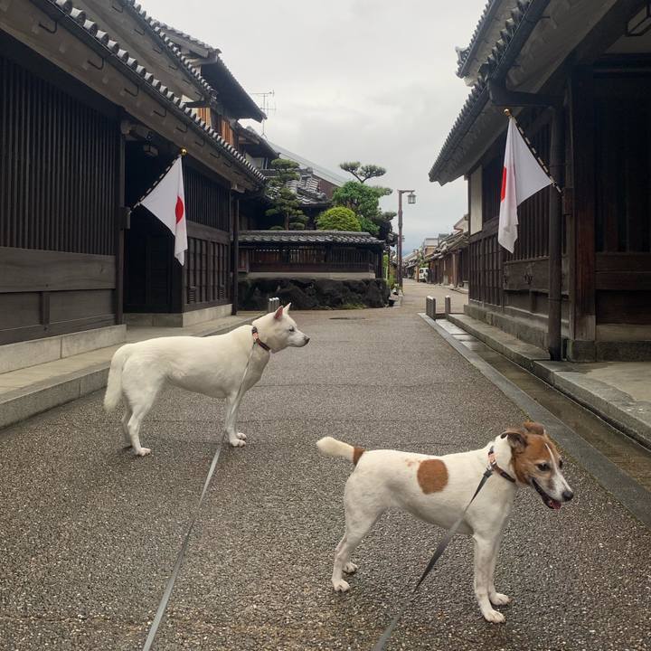 5b556d3f d6ca 41ca bee6 600391a369da 1556706760846