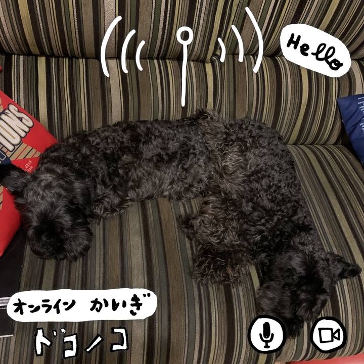 5b55711c 7733 4286 93e8 03a49ebccfc1 1590757660731