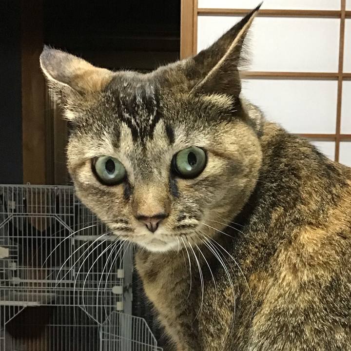 5b558ba3 ac5c 4855 bad8 7fe800ba4777 1703325565391