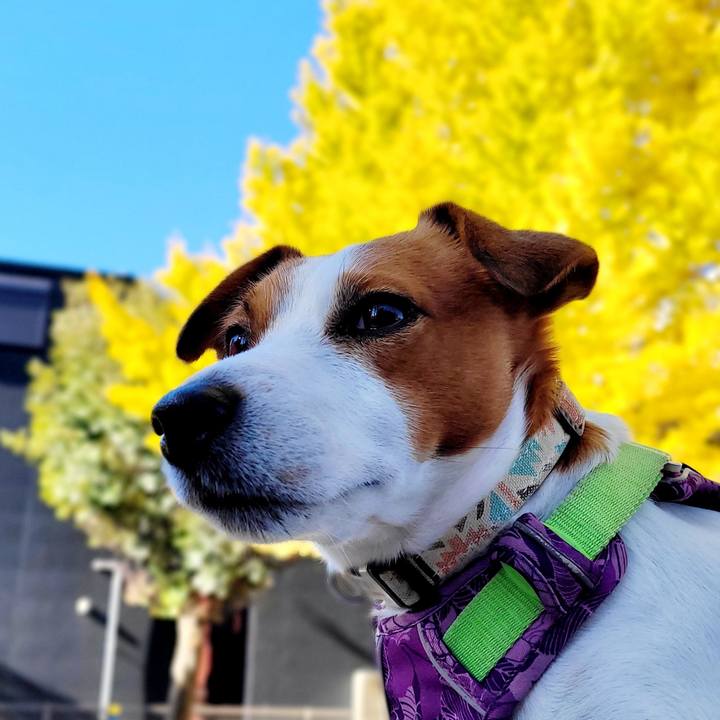 5b5595c3 8d02 4890 90b7 d2253bd9d922 1701141448951