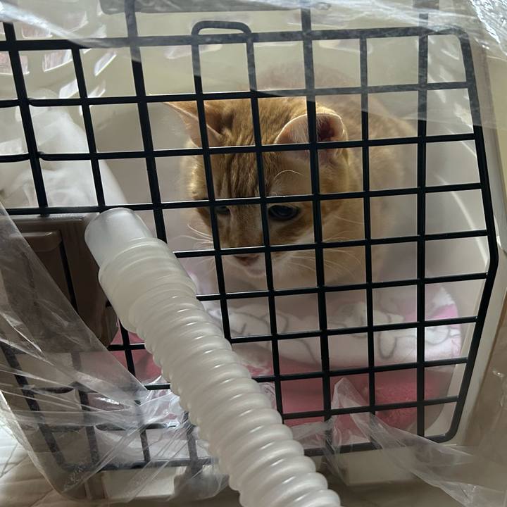 5b55b63a 26ab 4d81 b979 c9622d274ad4 1677233042279