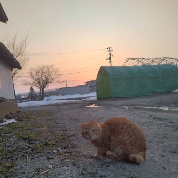 5b55ca51 dccb 47d2 bffc fc1a47596aed 1678226389753