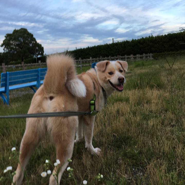 5b5628f9 bf97 4f4b b469 472d958b2d61 1529236902723