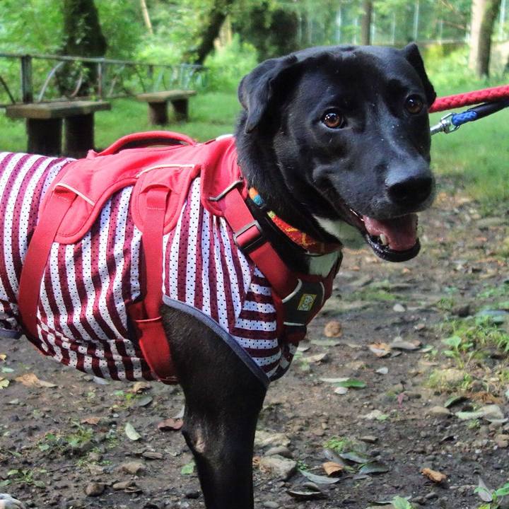 5b5630c4 4513 4890 8a23 55f5382f80ca 1595203468026