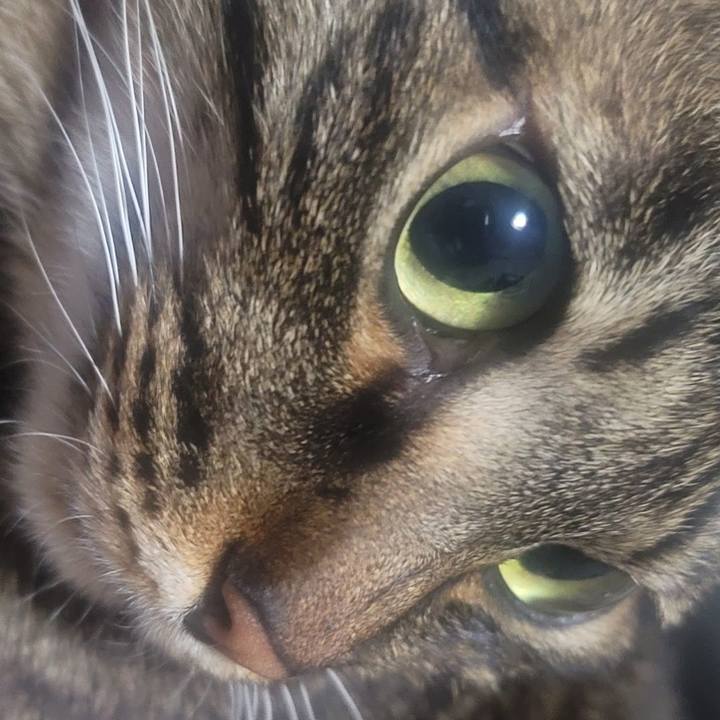 5b5638a6 3923 4dad b248 daee37c8bfc4 1653147290327