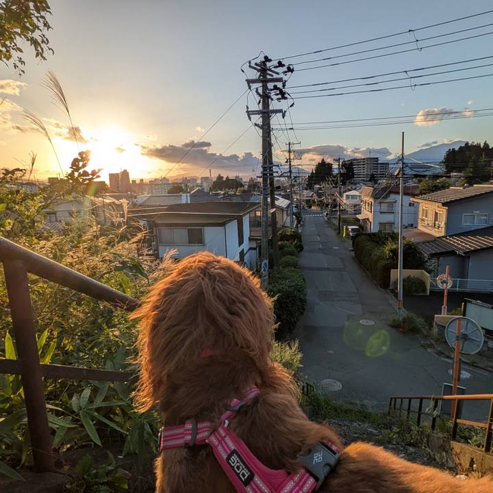 5b566dfd d67d 4af2 bcc5 c7d96828afd2 1758460340228