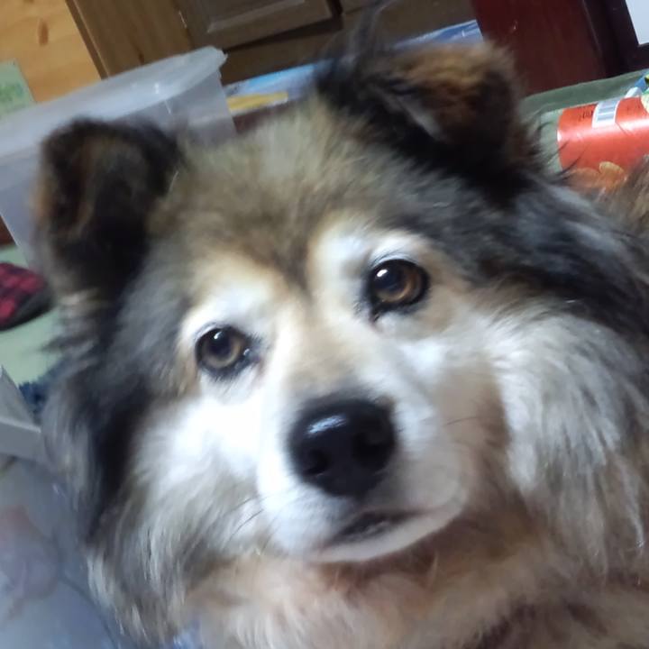 5b567da3 6b48 44d7 b2ab cb70dc5861dd 1583114639376