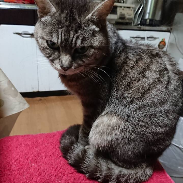 5b56a1ad a081 49c8 94fd c8129ce3fe35 1554457911583