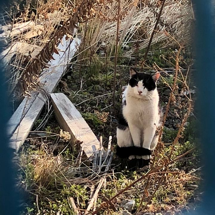 5b570f00 1f28 4a9f 98b3 66c86368797e 1519718347490