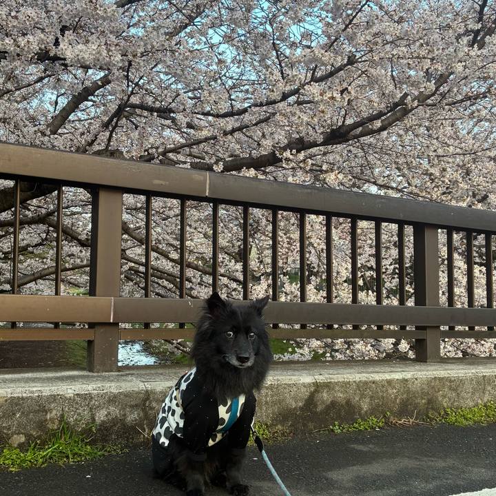 5b574c58 fd14 4a89 b6fb 6e5bcda2a012 1774569890919