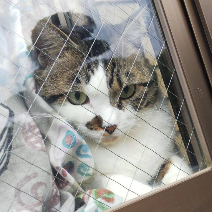 5b57b7b7 ae1d 44c5 84c9 4ab56a3519de 1658306666606