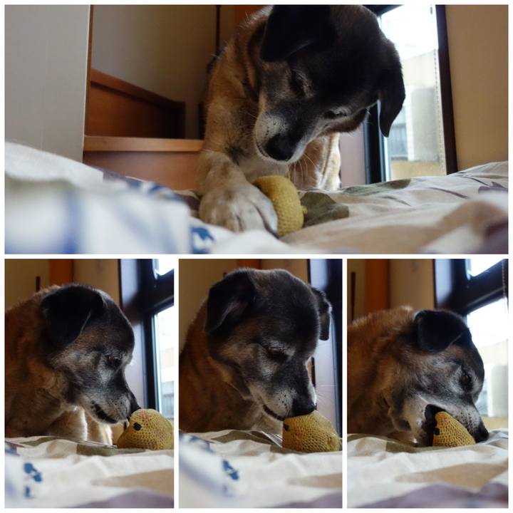 5b57d372 9e5b 4951 8866 8a5845bbf81b 1668303069015