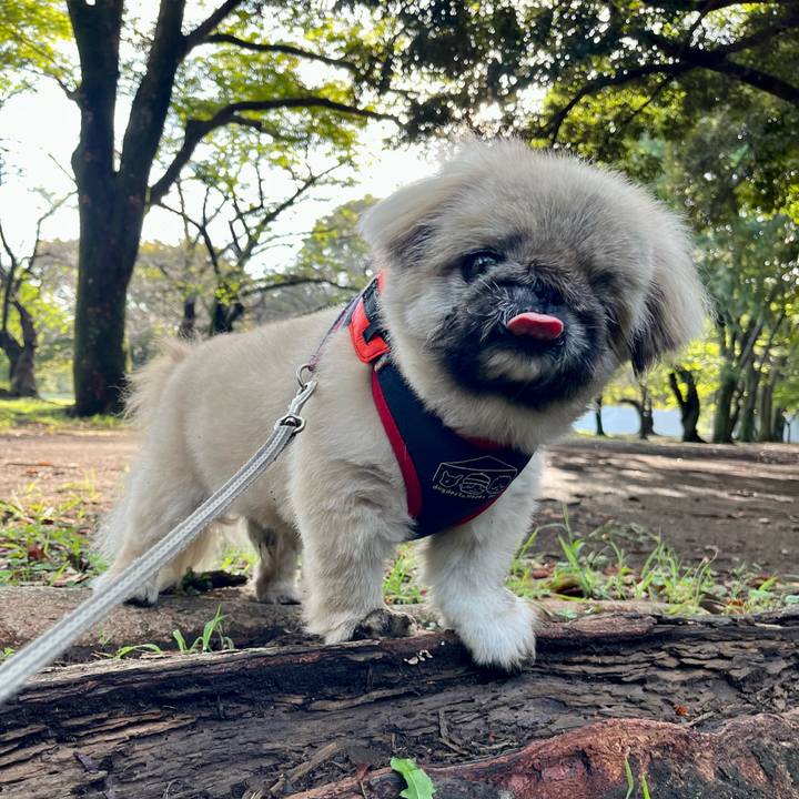 5b57f471 61c6 4414 98a9 928fb5c90de7 1758494435415