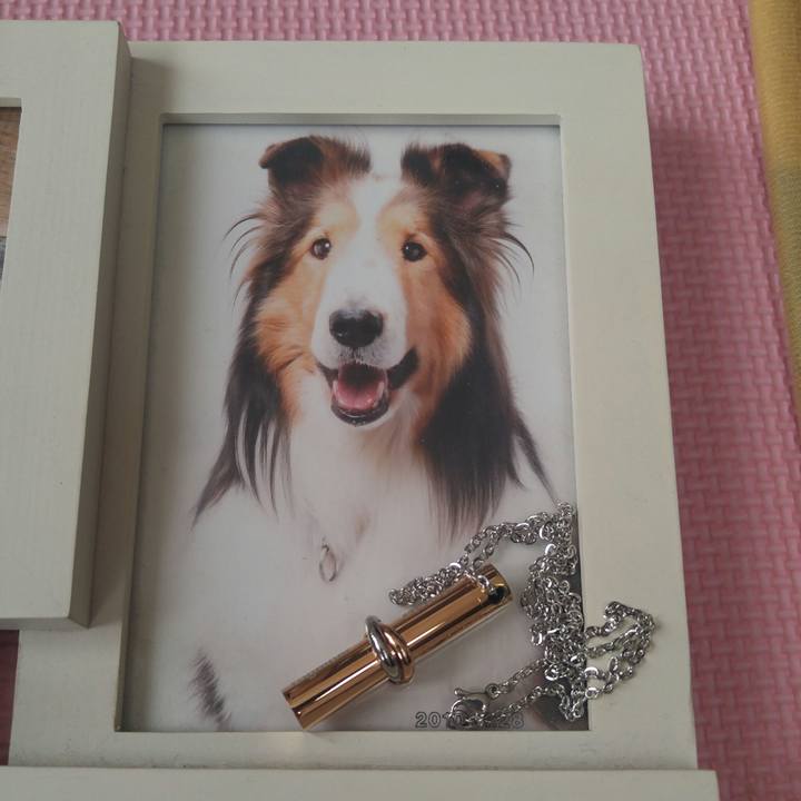 5b582290 abbf 4804 a885 2a6b188a179e 1511831212825