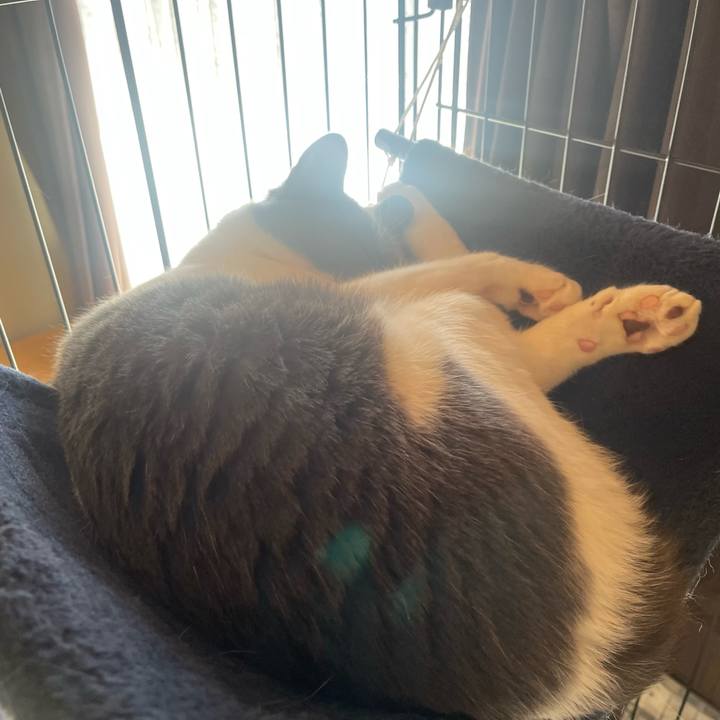 5b588149 7947 4886 b620 964dcb50cde6 1677456098770