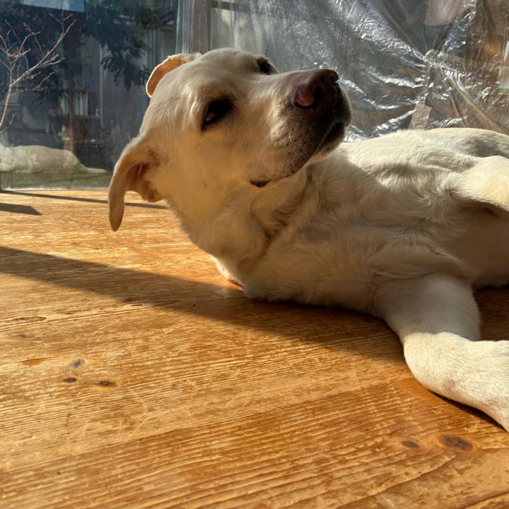 5b58932e 20da 4abd b1af ce13ccc7a33d 1771318155505