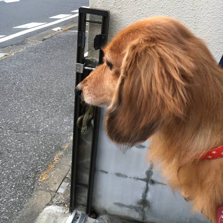 5b58fc56 036e 408a a05a 4286b469db61 1589715936992