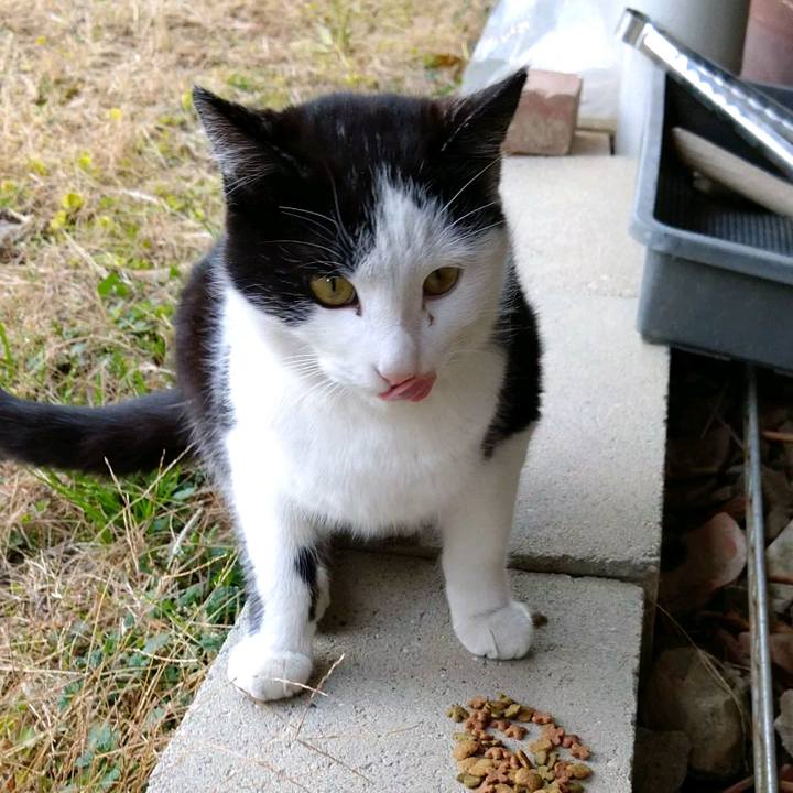 5b591245 37b3 4d96 82ac 406c7634b3c3 1613027939270