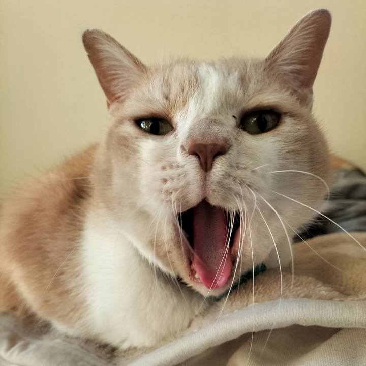 5b5928b9 f767 4c7e 83fe a77b3572e123 1640127101505