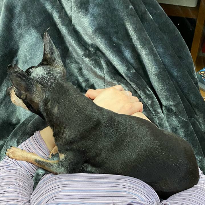 5b592bf9 9773 4103 bc8f fbf1806a6666 1587805033977