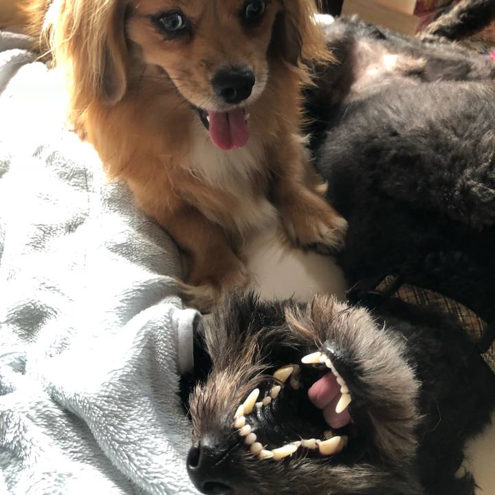 5b59321b ac3a 459b 9599 367945b335d3 1533335564551