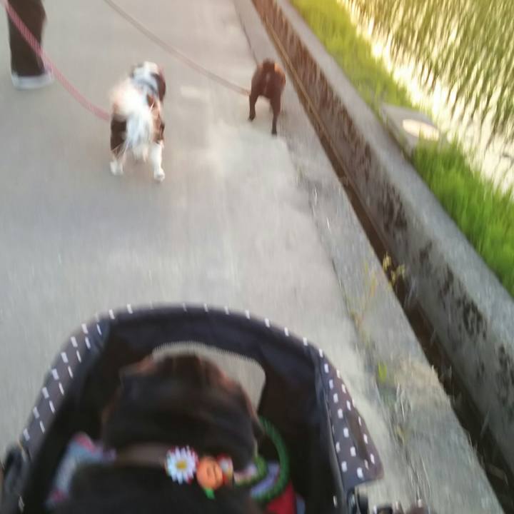 5b593261 e69d 499e 8020 225503525f4f 1528108295992