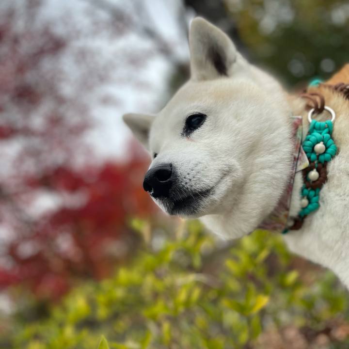 5b593547 b3c3 4d9c 957e 38837b4e27e5 1669681261471