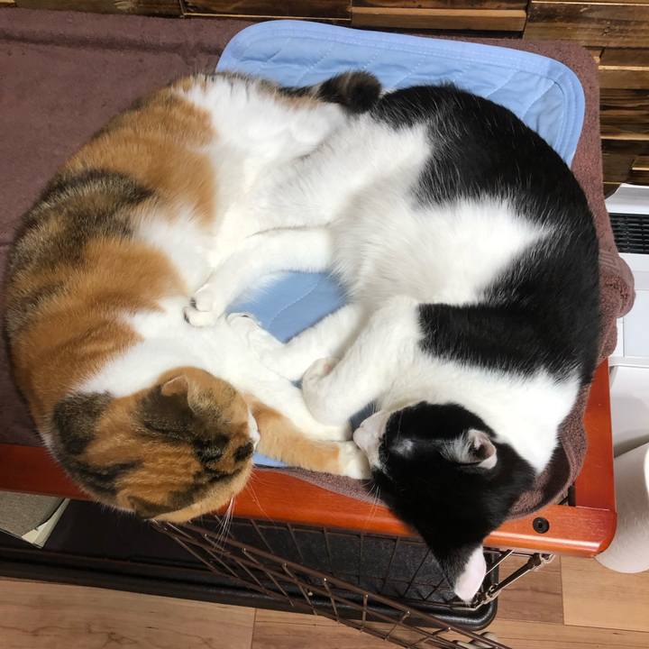 5b59600a f599 41c7 8ccc fe23f866ecb0 1632147993618