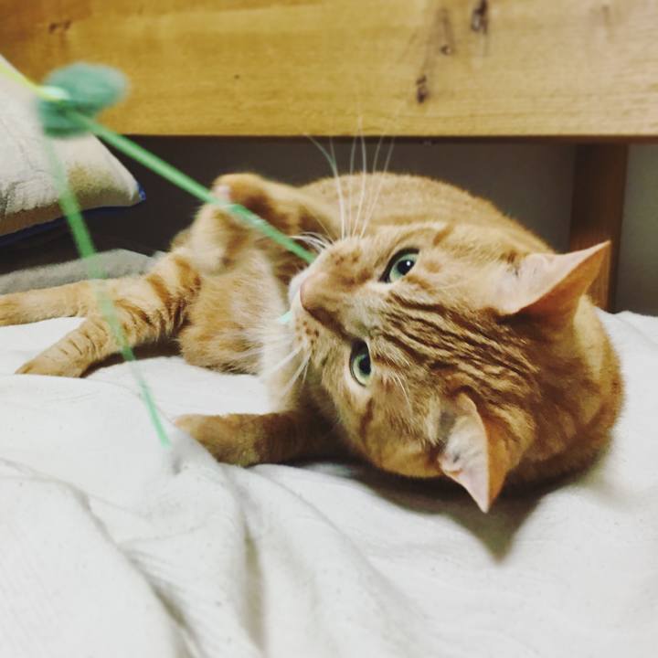 5b59e085 9cc8 4b5c a540 5de6c11bf94d 1600726605340