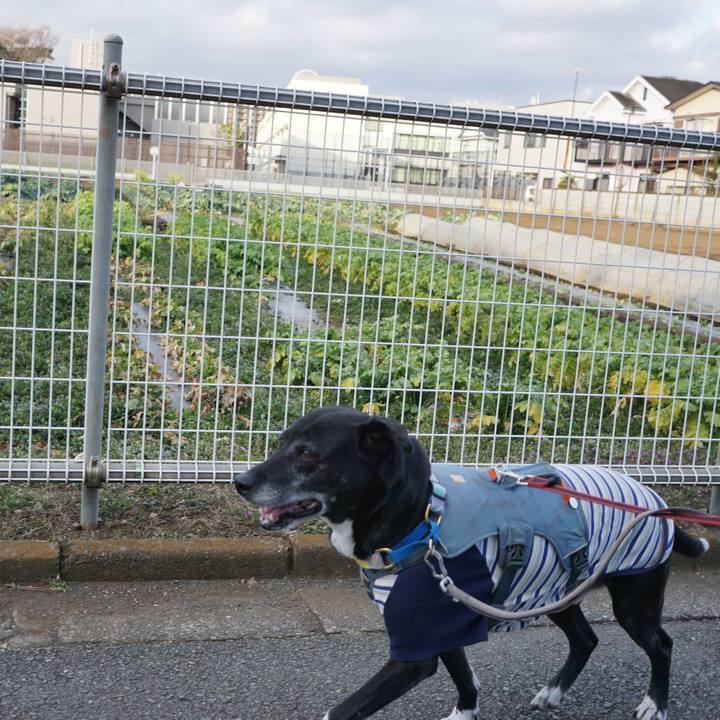 5b59e62c deda 4588 9331 b3e41c197fef 1768610724894