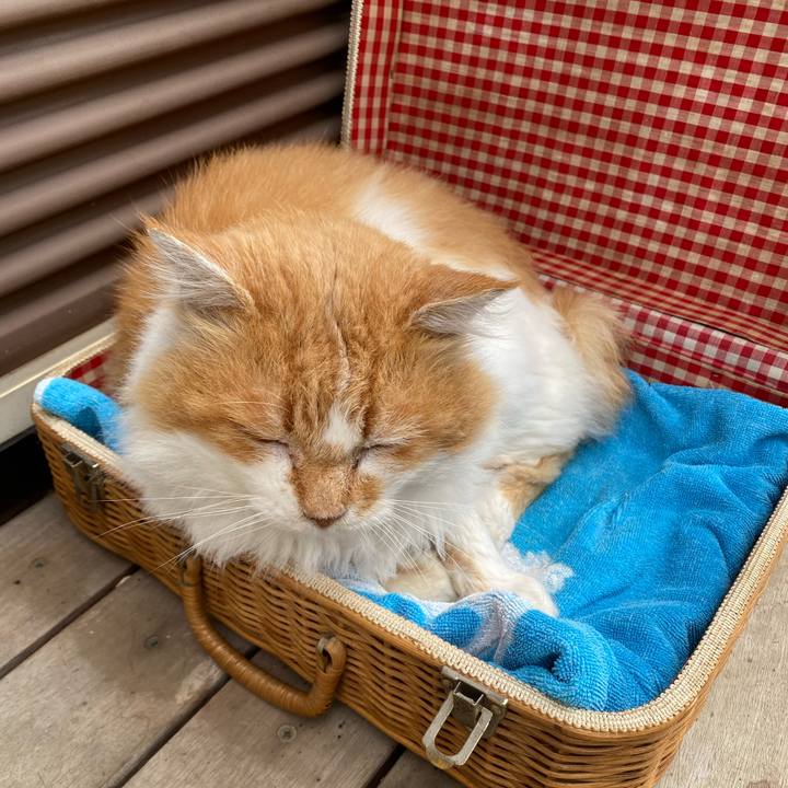 5b59ee52 e238 4380 9061 612f7b03ac04 1730251089601