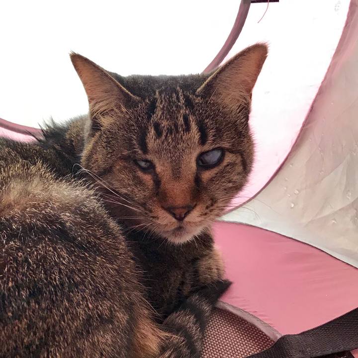 5b59f0da caf0 4871 b087 04ef678cbb20 1552011791483