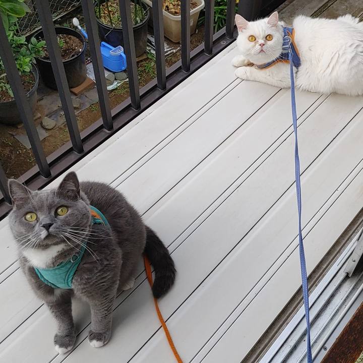 5b5a0f3d f33c 4e75 862c 19c23745dd20 1654382302039