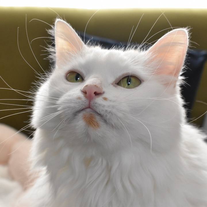 5b5a7772 75fd 467a 95d3 6c5a7563f8ae 1765068454397